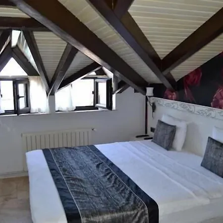 Special Class Adults Only Hotel