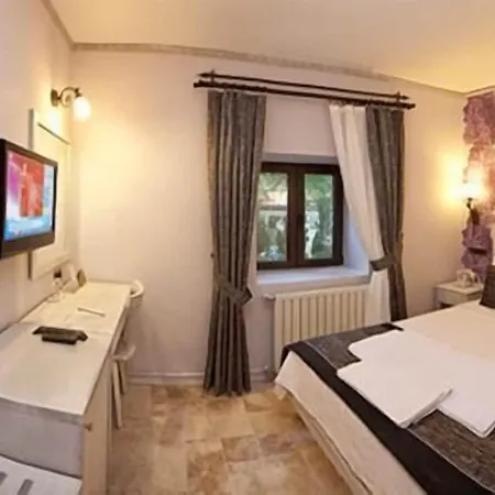 Special Class Adults Only 4*