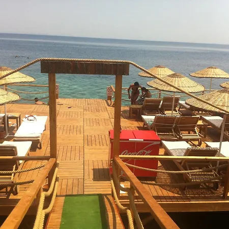 Special Class Adults Only 4*