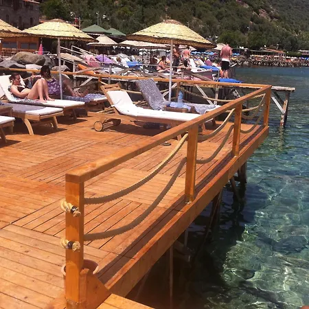 Special Class Adults Only 4* Assos