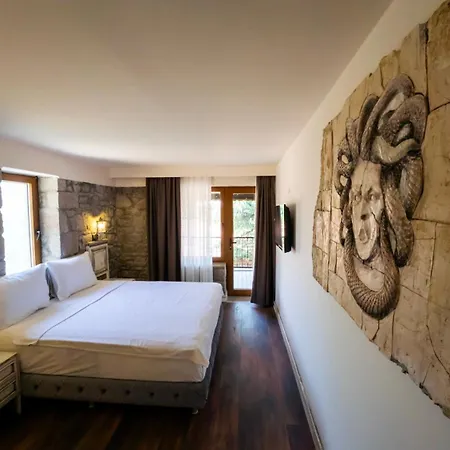 Special Class Adults Only Assos