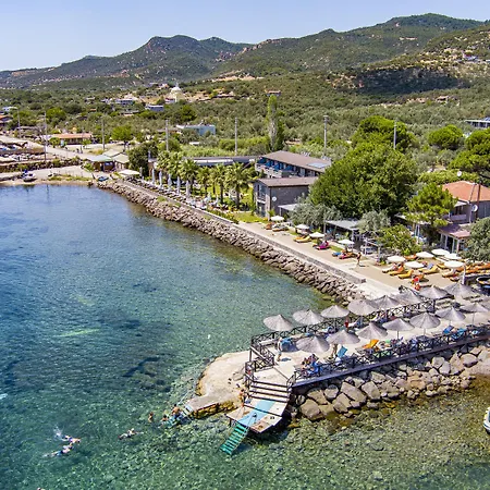 Special Class Adults Only Hotel Assos
