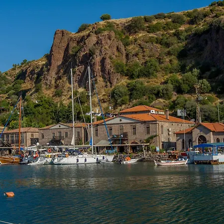 Special Class Adults Only Assos