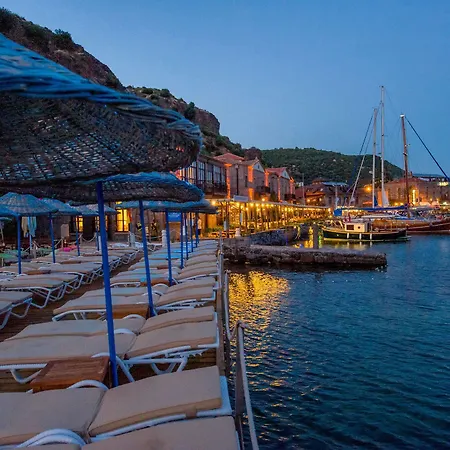 Special Class Adults Only Assos