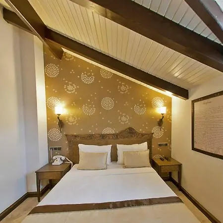 Special Class Adults Only 4*